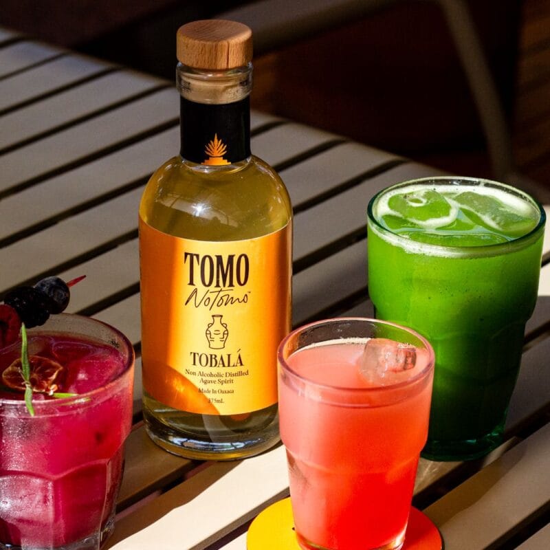Taste of Puebla x Tomo no Tomo